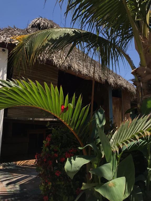 Condominio Agave del Mar Coyuca de Benitez Esterno foto
